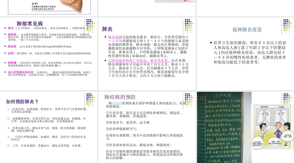 首师大小学科学四下《15.肺的保健》PPT课件.ppt