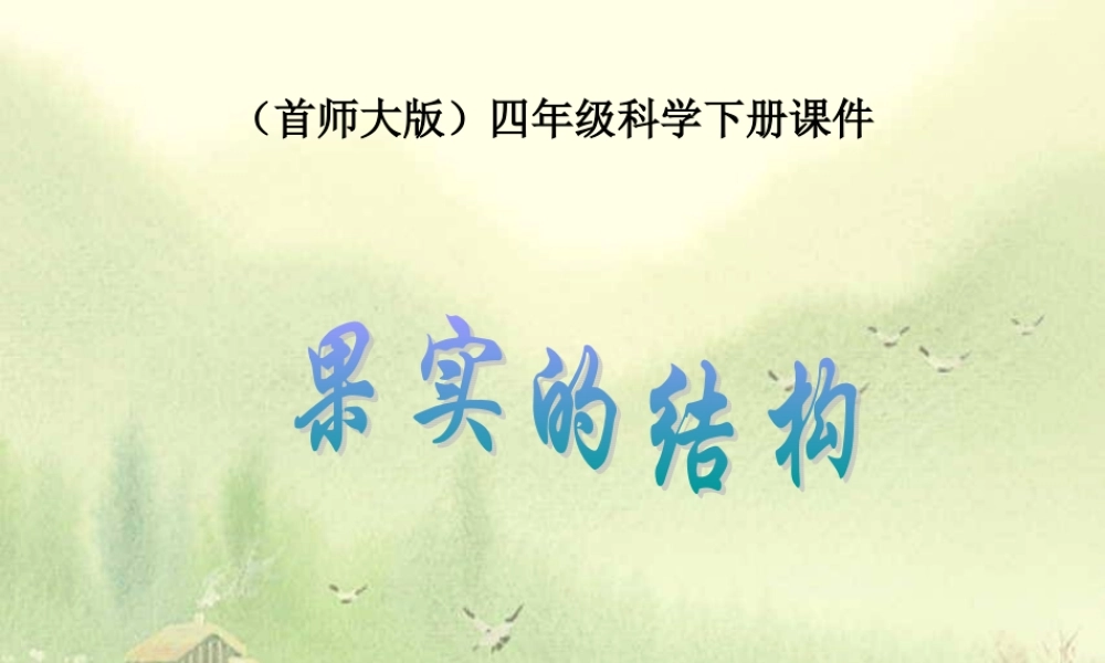 首师大小学科学四下《11.果实的结构》PPT课件(1).ppt