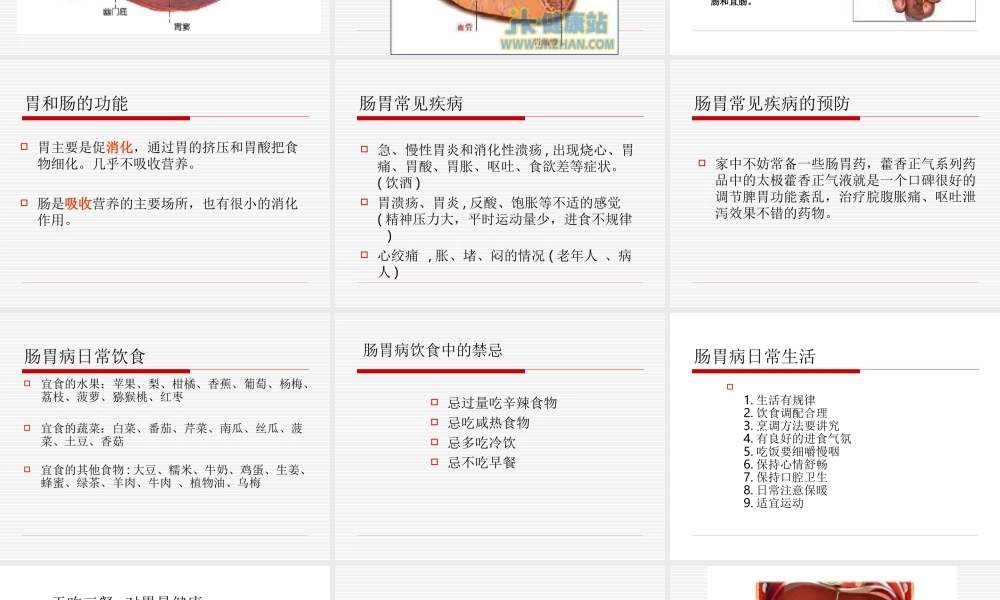 首师大小学科学四下《14.爱护胃和肠》PPT课件.ppt