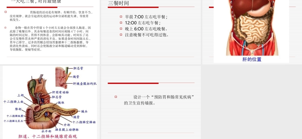 首师大小学科学四下《14.爱护胃和肠》PPT课件.ppt