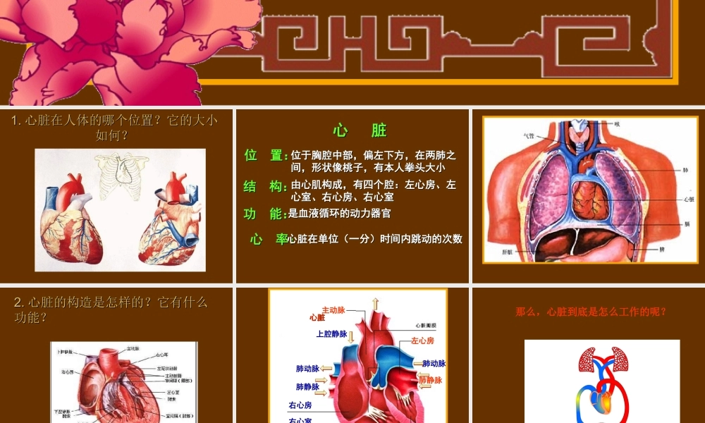 首师大小学科学四下《16.心脏的保健》PPT课件(2) .ppt