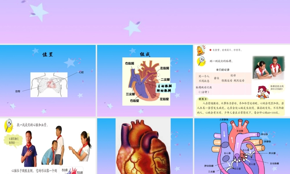 首师大小学科学四下《16.心脏的保健》PPT课件(1) .ppt