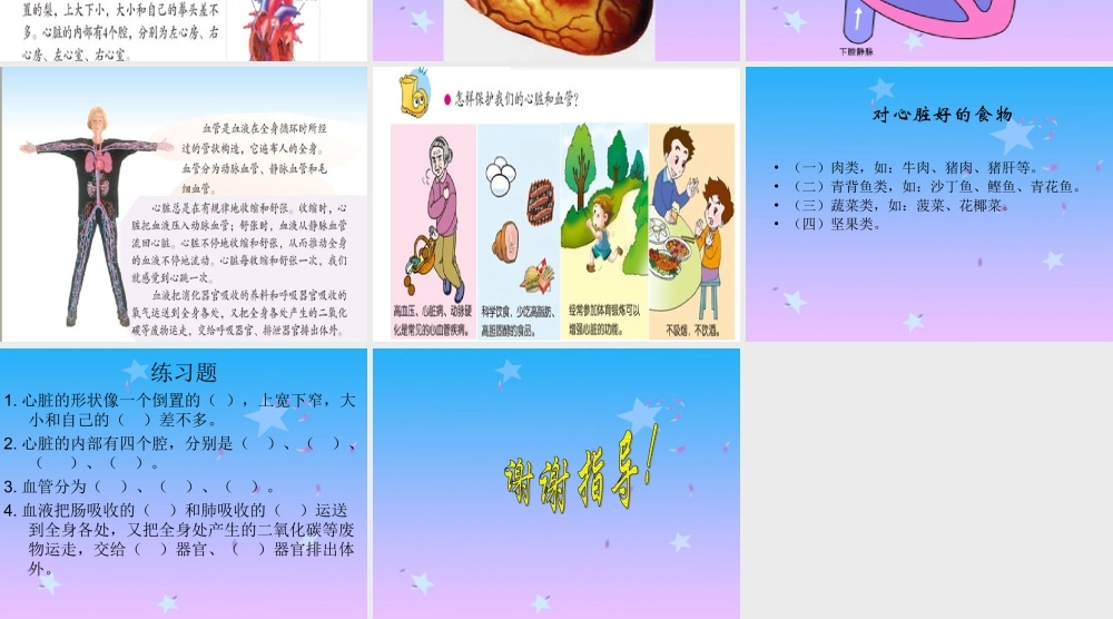 首师大小学科学四下《16.心脏的保健》PPT课件(1) .ppt