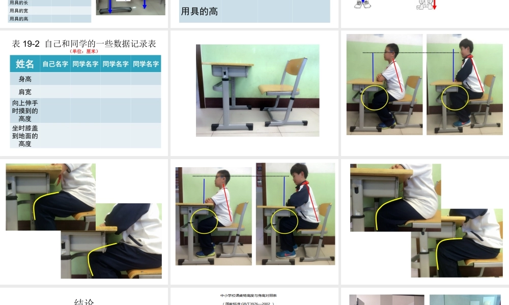 首师大小学科学四下《19.生活用具》PPT课件.ppt