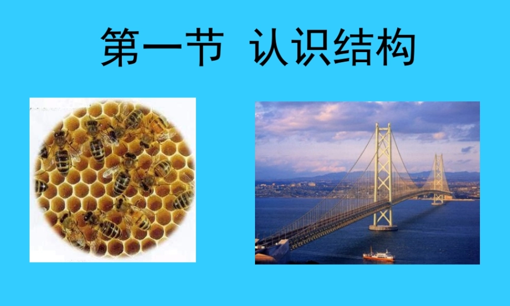 首师大小学科学四下《17.物体的结构》PPT课件.ppt