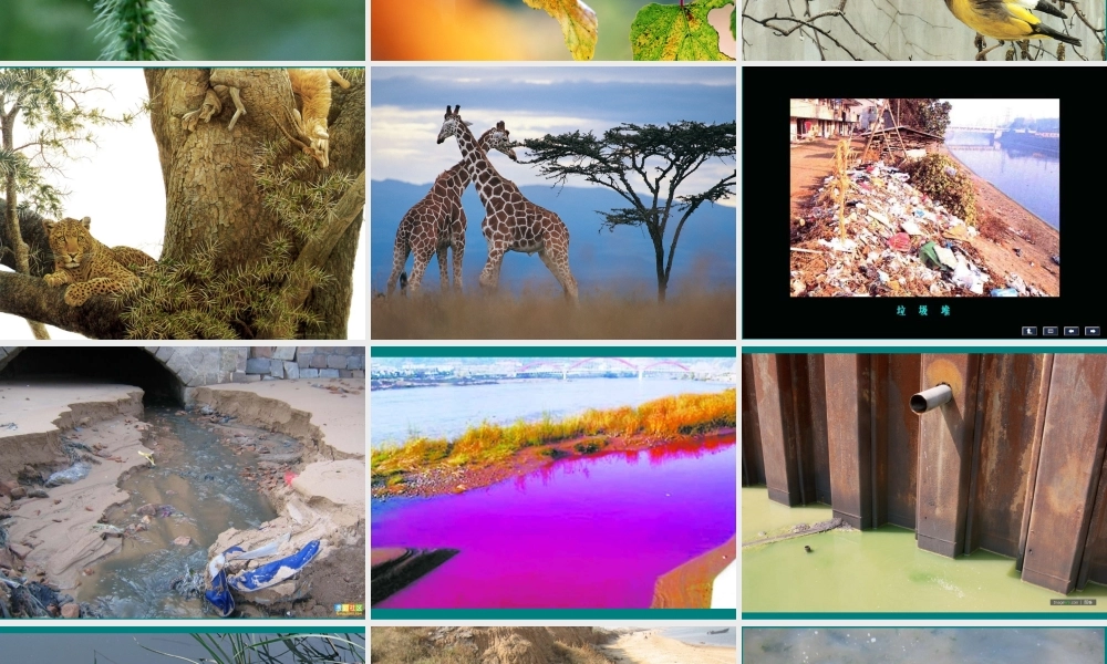 首师大小学科学四下《8.爱护地球家园》PPT课件.ppt