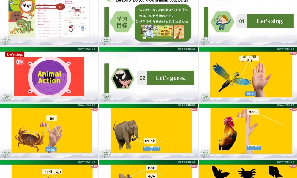 0924三年级【英语(人教版)】Unit 2 My Body 第五课时-2PPT课件.pptx