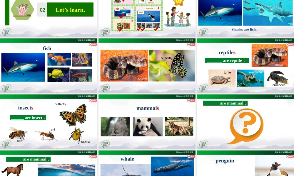 0929六年级【英语(人教版)】Unit 3 Animal World (第一课时)-2课件.pptx