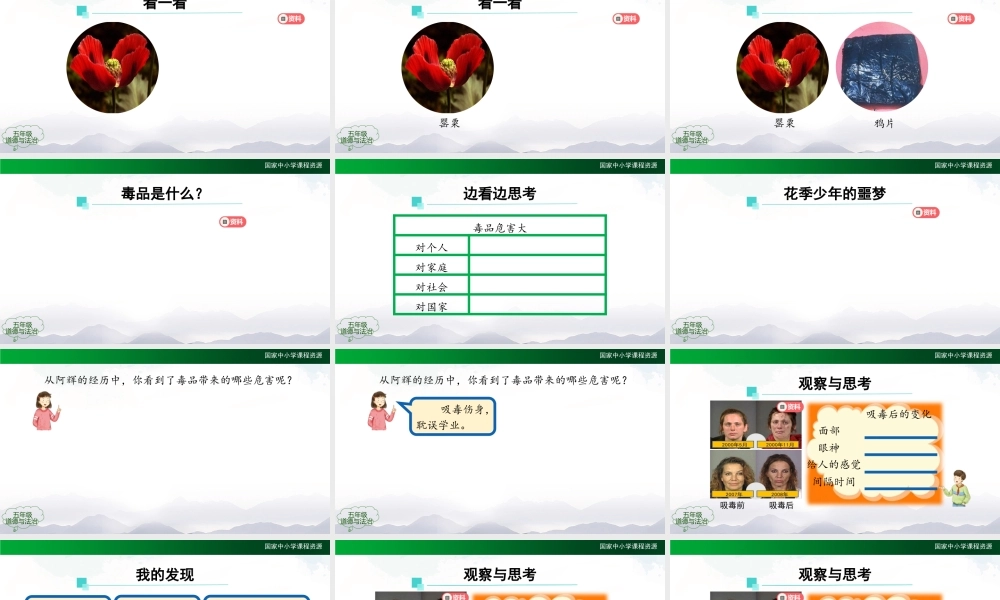0930五年级【道德与法治(统编版)】主动拒绝烟酒与毒品(第二课时)-2课件.pptx