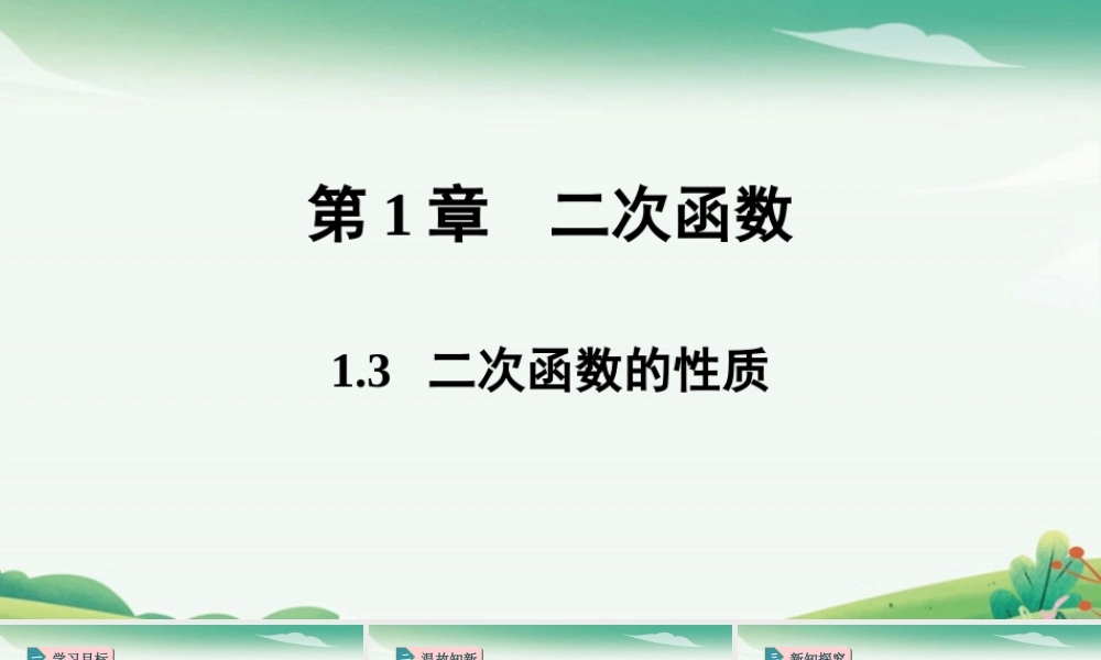 1.3二次函数的性质.pptx