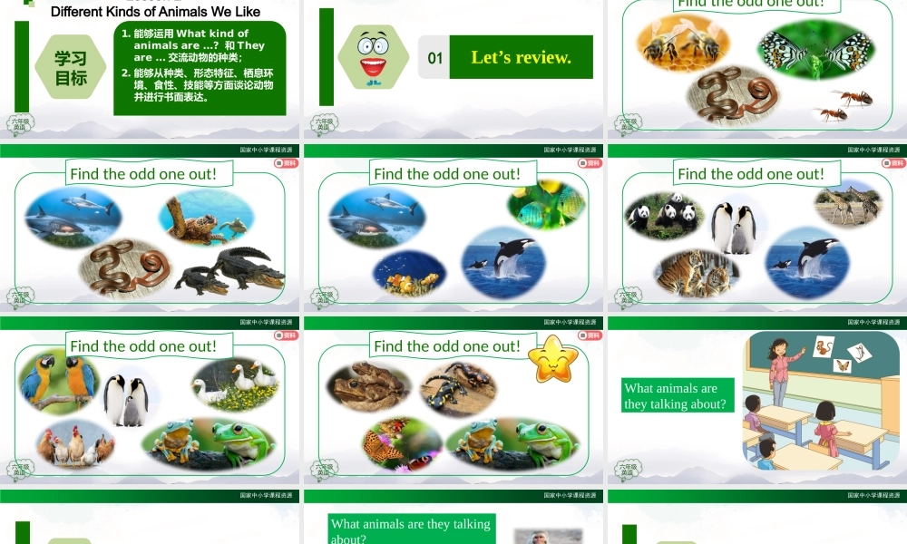 1010六年级【英语(人教版)】Unit 3 Animal World(第二课时)-2课件.pptx