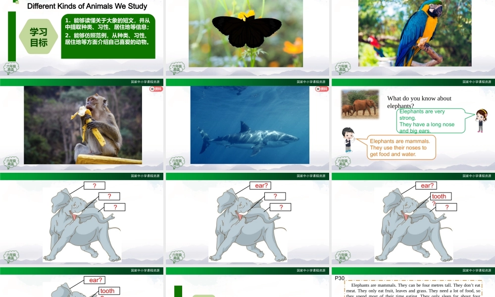 1012六年级【英语(人教版)】Unit 3 Animal World (第三课时)-2课件.pptx