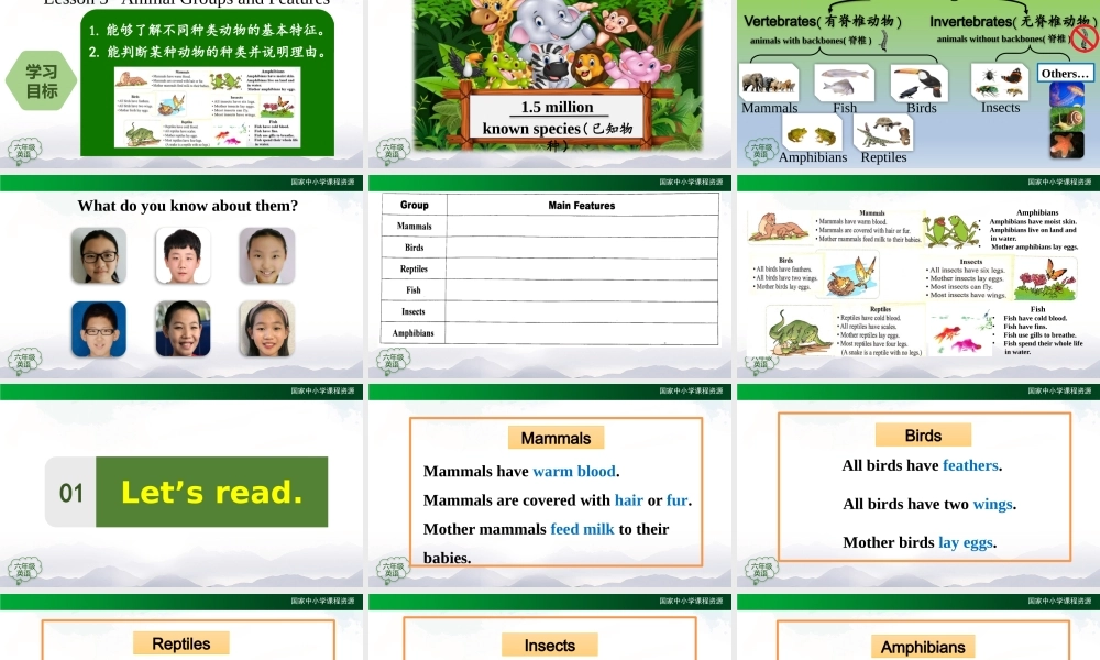 1016六年级【英语(人教版)】Unit 3 Animal World(第五课时)-2课件.pptx