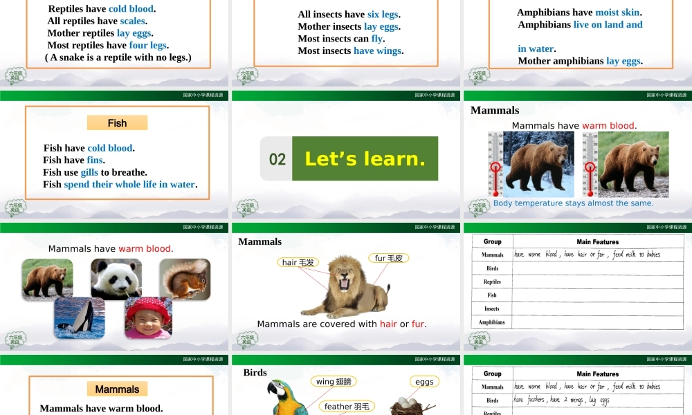 1016六年级【英语(人教版)】Unit 3 Animal World(第五课时)-2课件.pptx