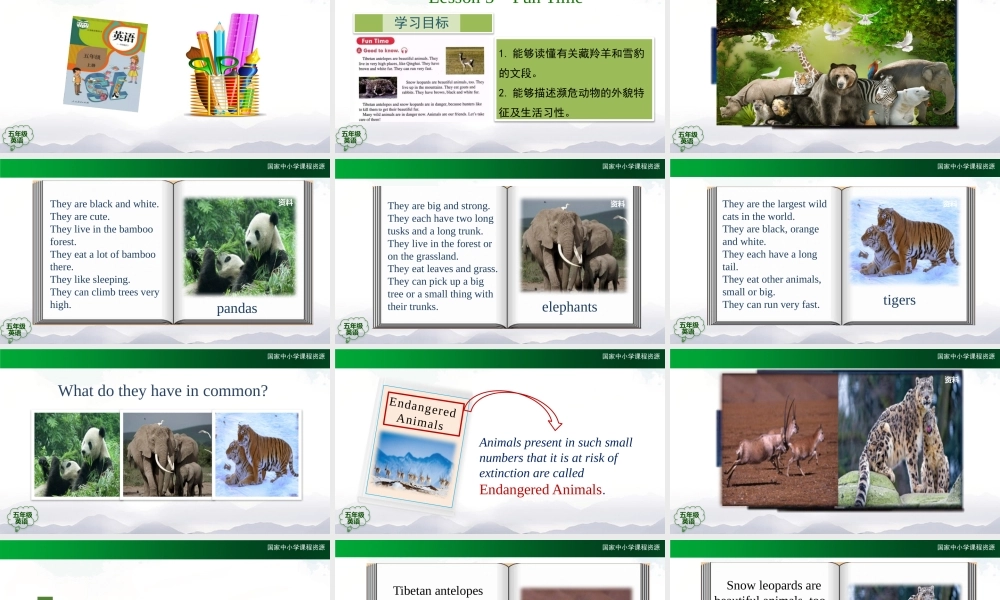 1013五年级【英语(人教版)】Unit 3 Animals (第五课时）-2课件.pptx