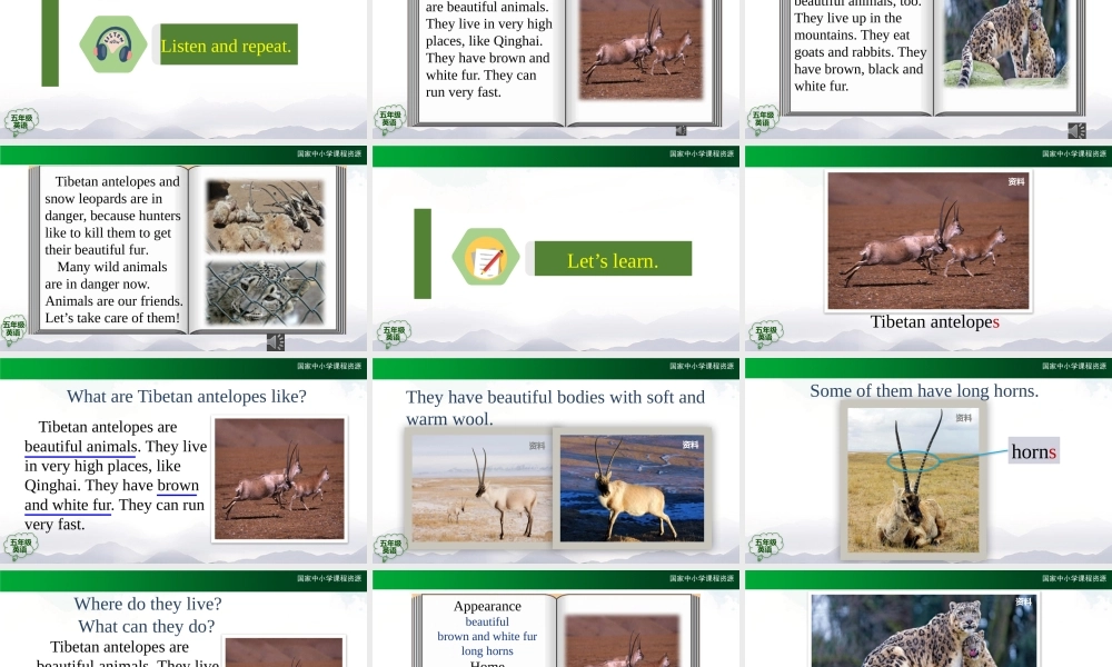 1013五年级【英语(人教版)】Unit 3 Animals (第五课时）-2课件.pptx