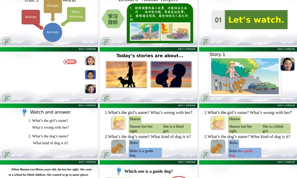 1019六年级【英语(人教版)】Unit 3 Animal World (第六课时)-2课件.pptx