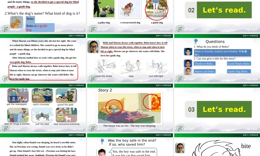 1019六年级【英语(人教版)】Unit 3 Animal World (第六课时)-2课件.pptx