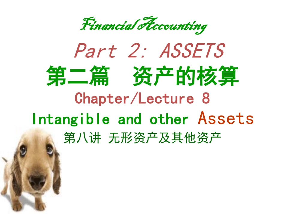 06第八章 无形资产及其他资产 中级财务会计 中央财经大学会计学院 余应敏2012年6月26日版.pdf_第2页