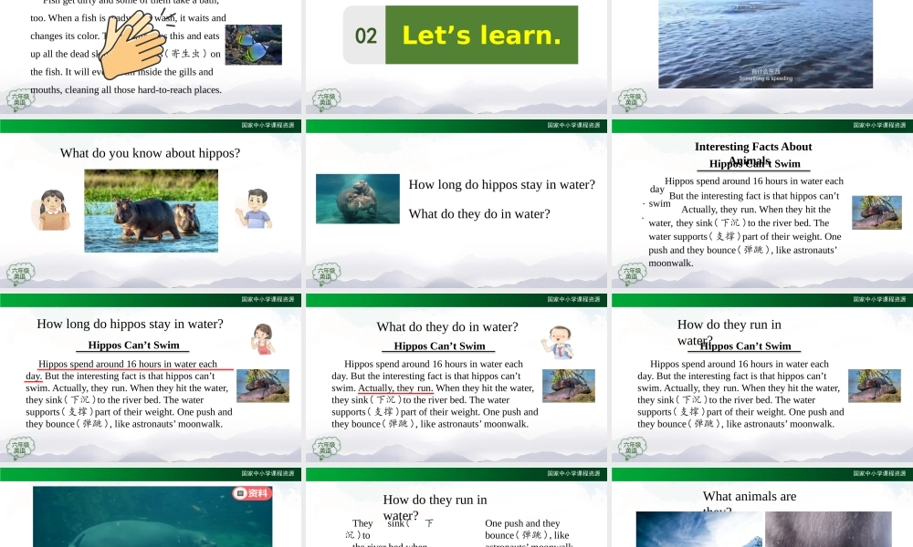 1210六年级【英语(人教版)】Interesting Facts About Animals-2PPT课件.pptx