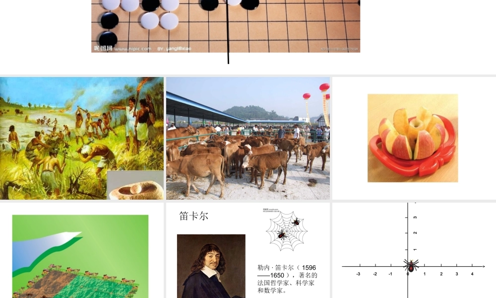 上海教育版数学七下15.1《平面直角坐标系》ppt课件4.ppt