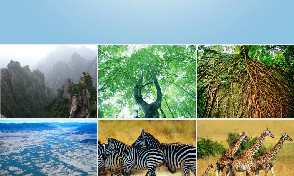 人美小学美术三下《第2课画中的线条》PPT课件.ppt