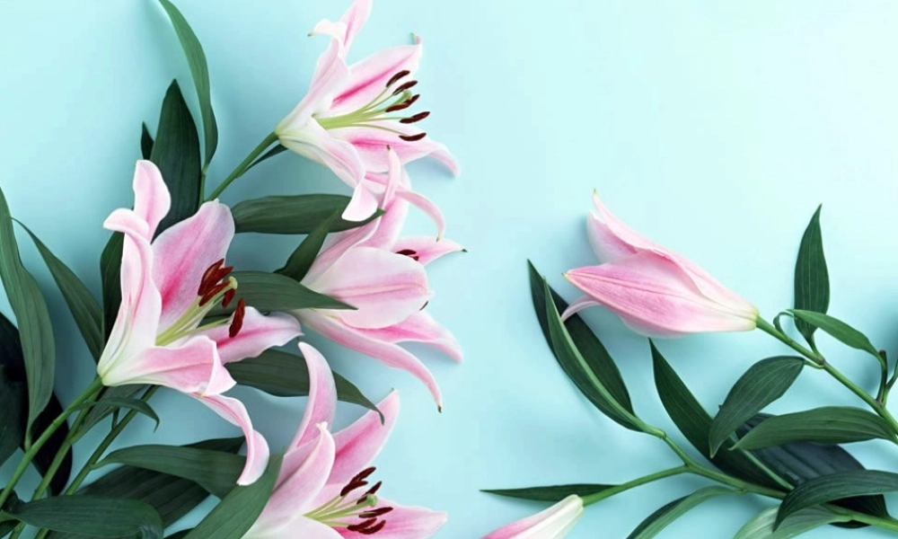 人美小学美术三下《第8课别致的小花瓶》PPT课件 (1) .ppt