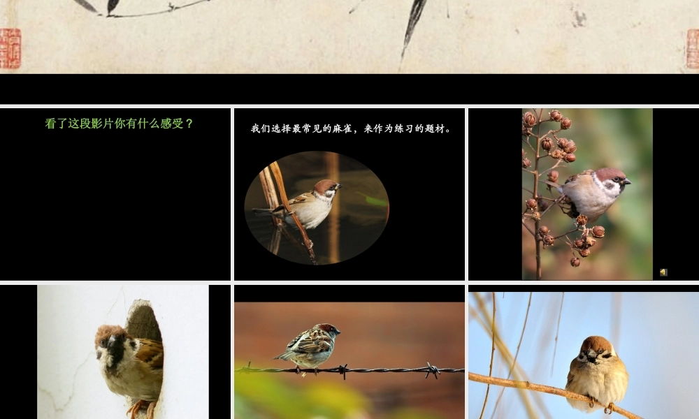 人美小学美术五下《第14课花鸟画二》PPT课件.pptx