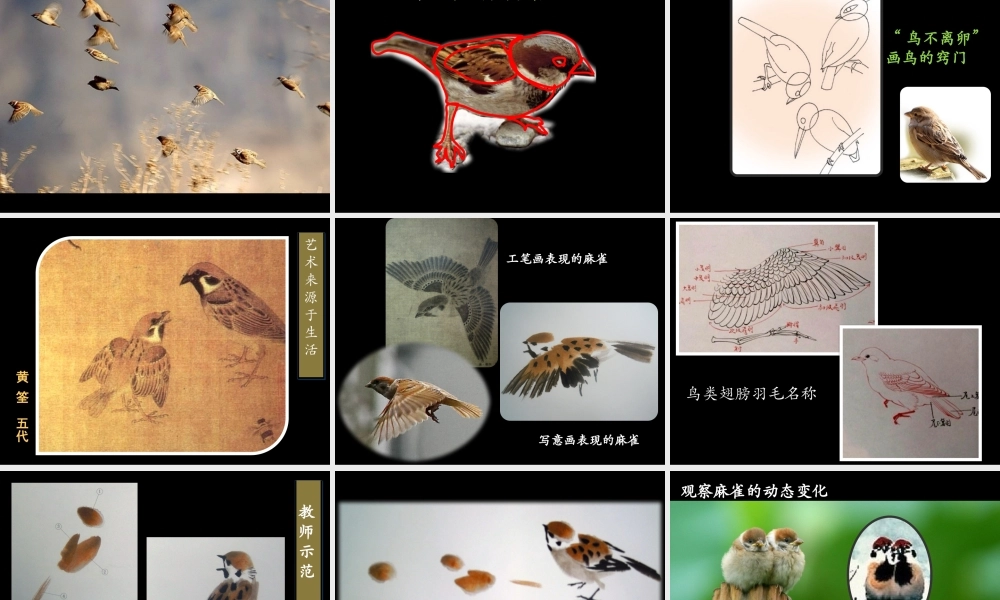 人美小学美术五下《第14课花鸟画二》PPT课件.pptx