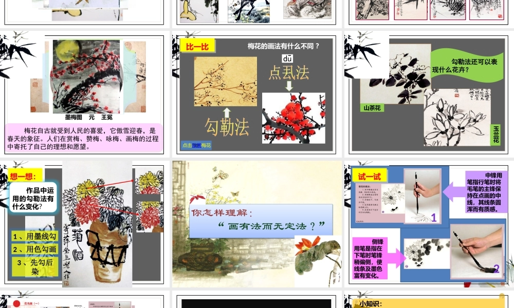 人美小学美术五下《第13课花鸟画一》PPT课件.pptx