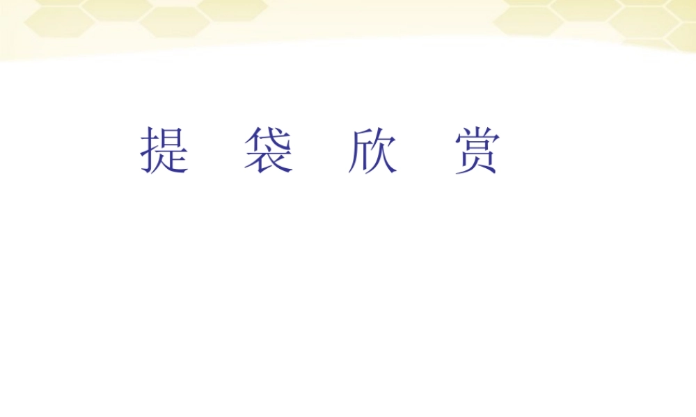 人美小学美术五下《第5课提袋的设计》PPT课件 (4) .ppt