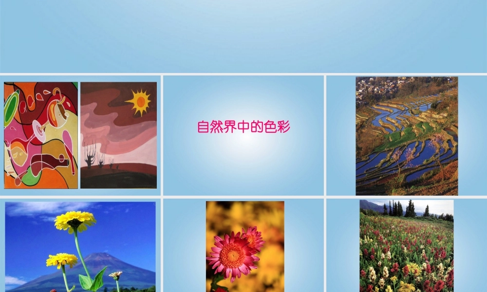 人美小学美术五下《第3课色彩的对比》PPT课件 (1) .ppt