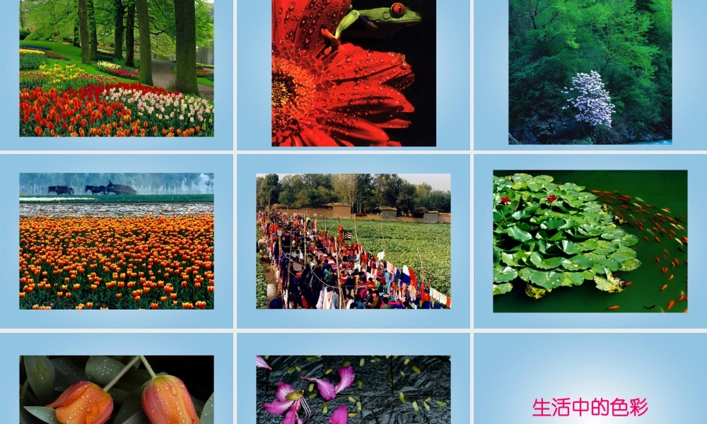 人美小学美术五下《第3课色彩的对比》PPT课件 (1) .ppt