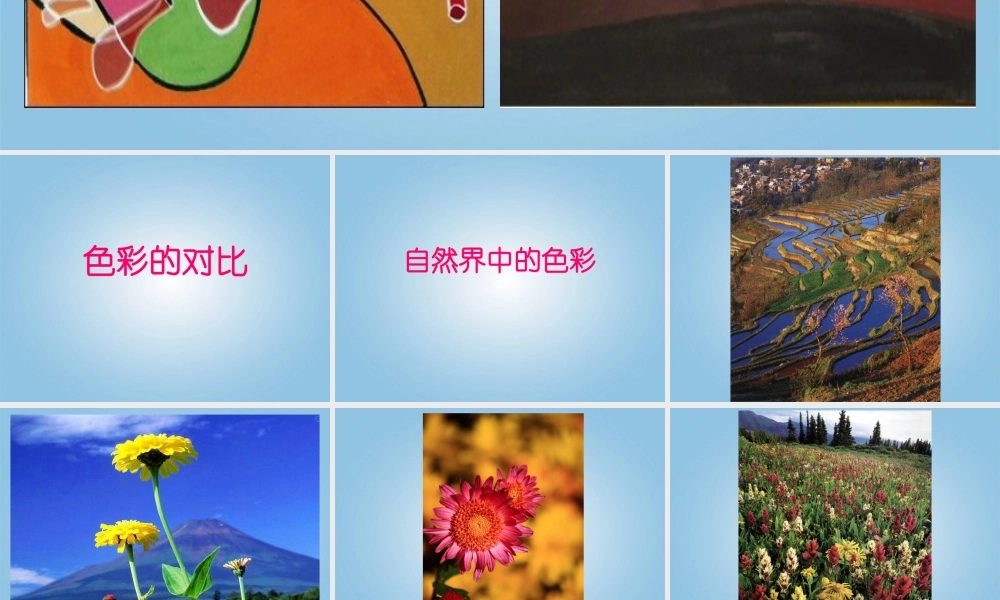 人美小学美术五下《第3课色彩的对比》PPT课件 (3) .ppt