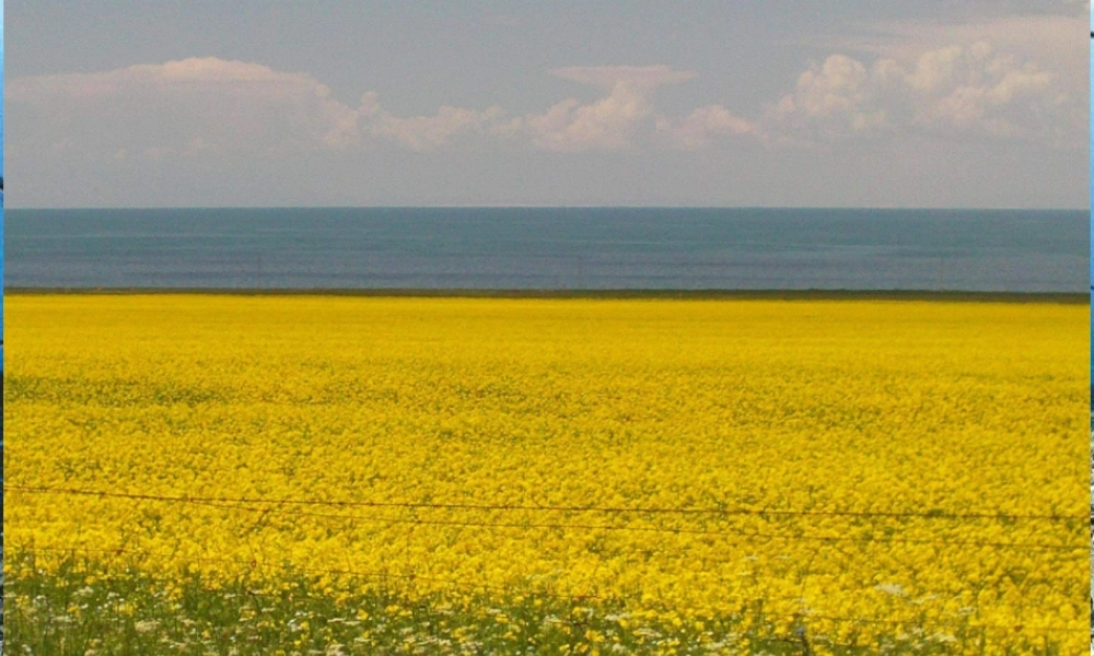 人美小学美术六上《第12课神州风采》PPT课件 (3) .ppt