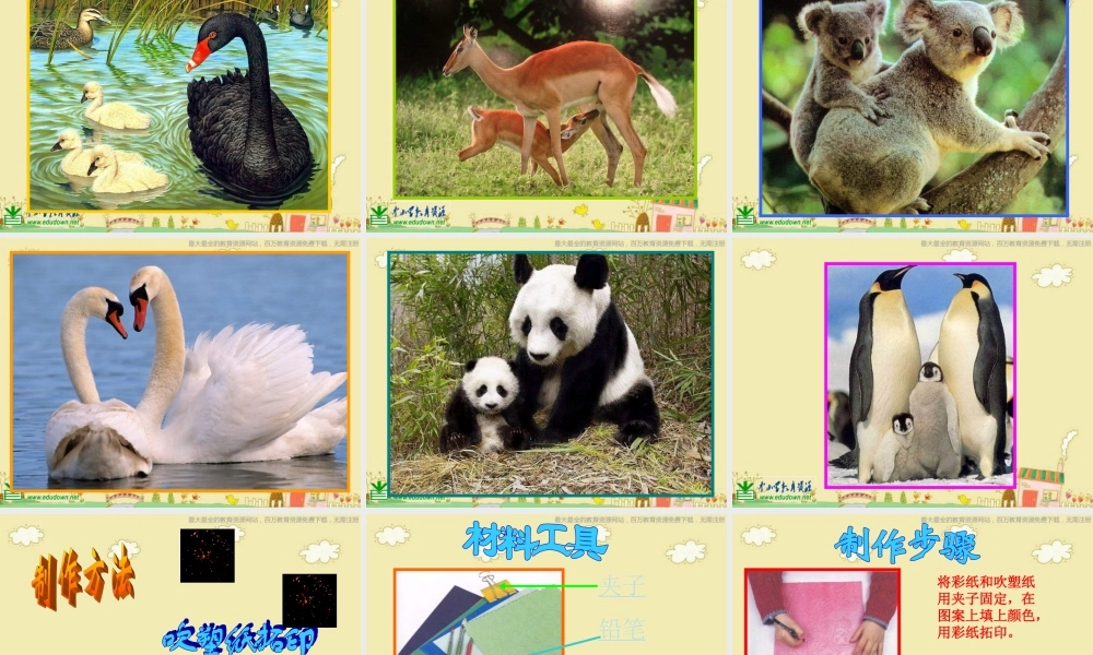 人美小学美术六上《第5课亲亲密密一家子》PPT课件 (1) .ppt