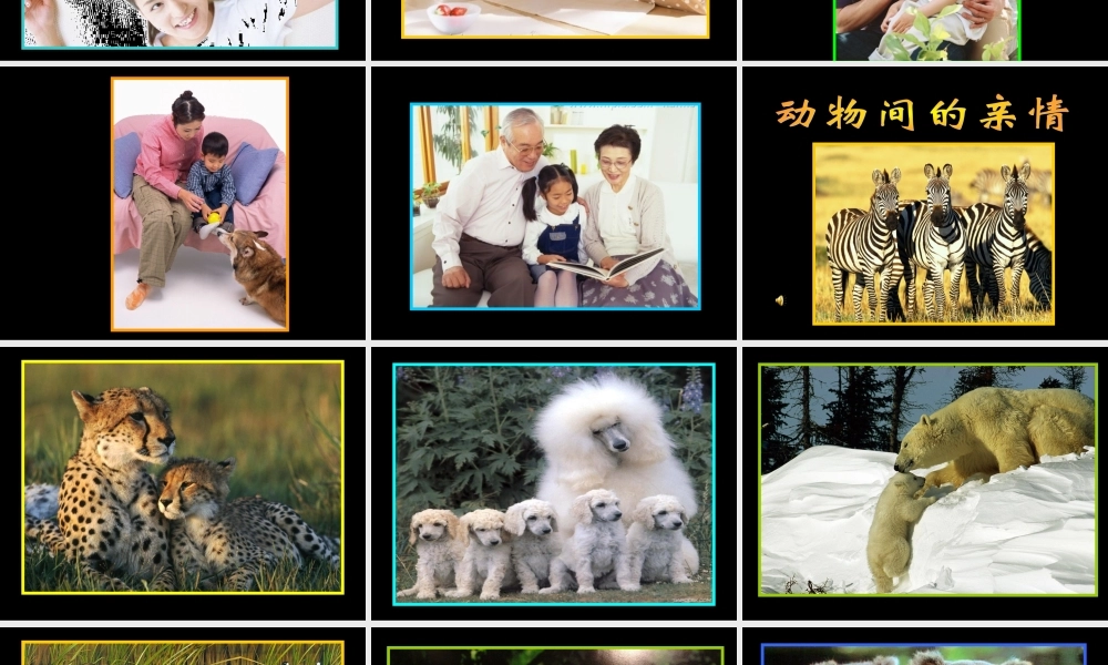 人美小学美术六上《第5课亲亲密密一家子》PPT课件 (2) .ppt