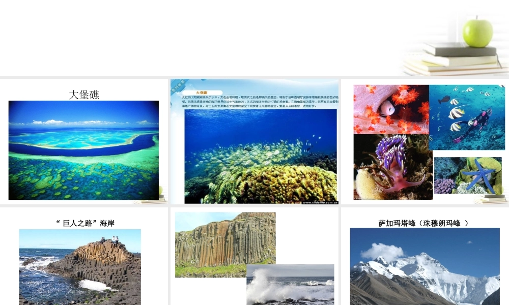 人美小学美术六下《第2课探访自然的奇观》PPT课件.ppt