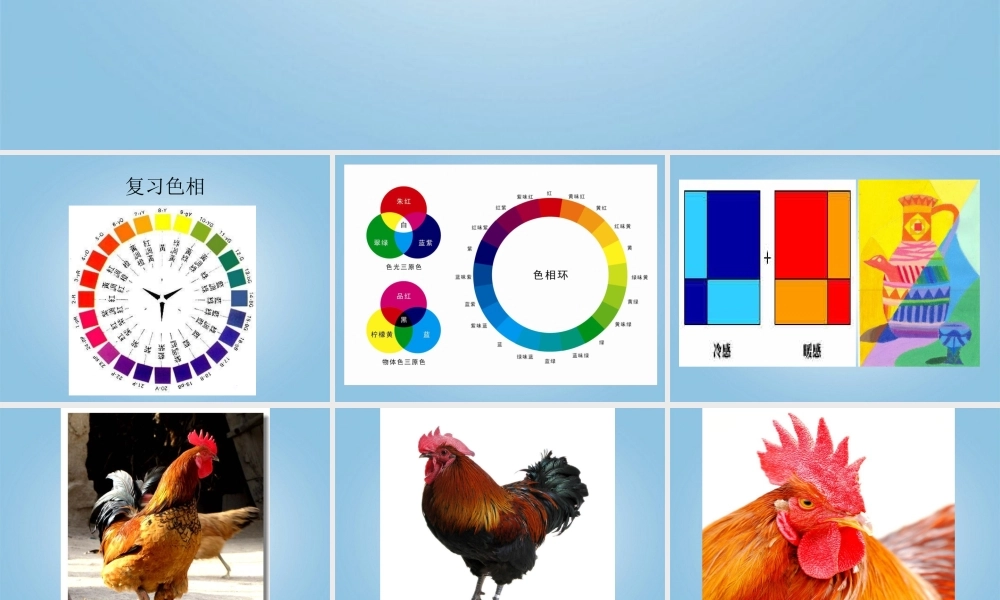 人美小学美术四下《第14课艳丽的大公鸡》PPT课件 (2) .ppt