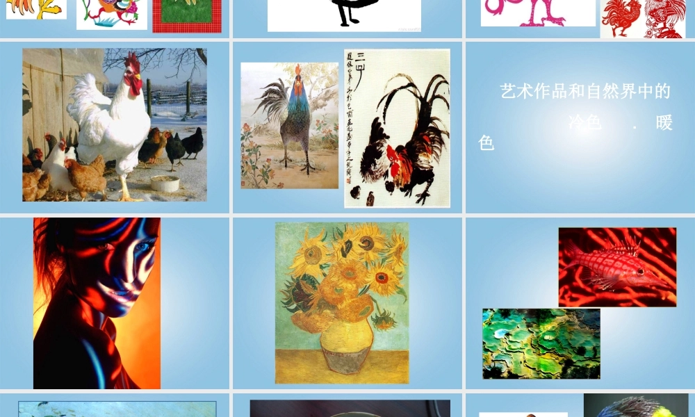 人美小学美术四下《第14课艳丽的大公鸡》PPT课件 (3) .ppt