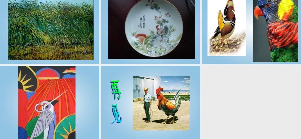 人美小学美术四下《第14课艳丽的大公鸡》PPT课件 (3) .ppt