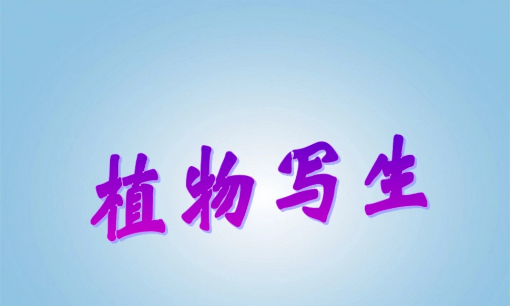 人美小学美术四下《第1课植物写生》PPT课件 (1).ppt