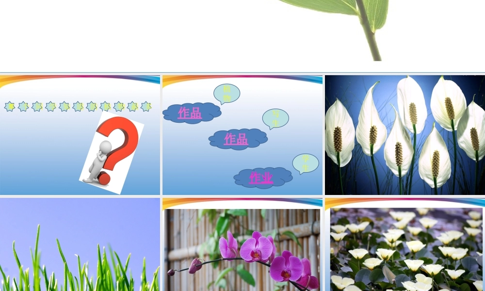 人美小学美术四下《第1课植物写生》PPT课件 (2).ppt