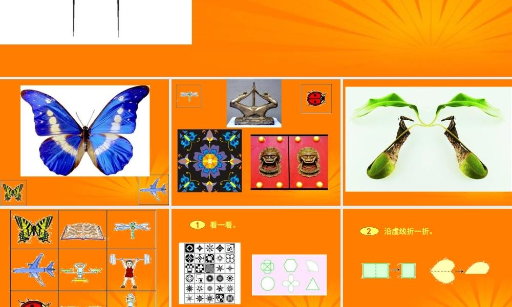 人美小学美术四下《第6课巧用对称形》PPT课件 (2) .ppt