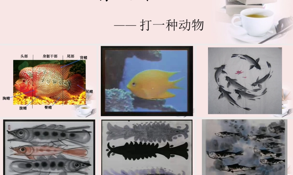 人美小学美术四下《第9课用彩墨画鱼》PPT课件 (1) .ppt