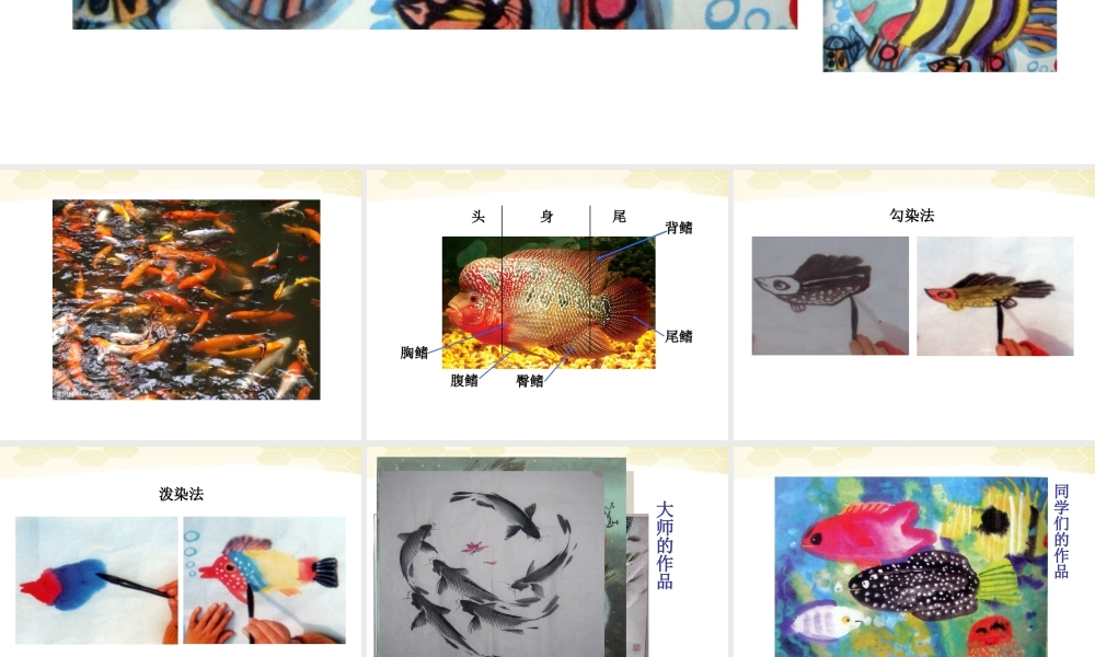 人美小学美术四下《第9课用彩墨画鱼》PPT课件 (2) .ppt