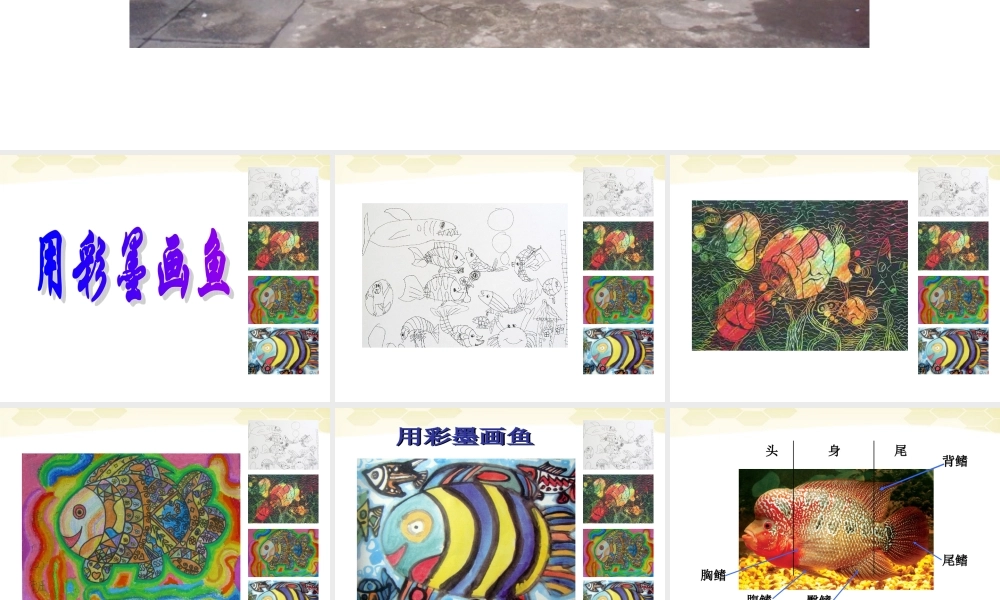人美小学美术四下《第9课用彩墨画鱼》PPT课件 (4) .ppt