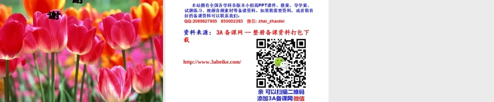 六年级数学上册课件 圆的面积.ppt