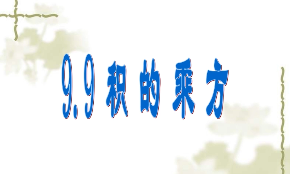 沪教版数学七上课件9.9 积的乘方.ppt