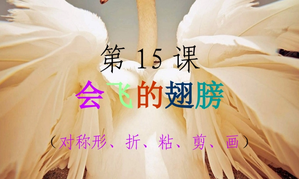 湘教小学美术一下《15会飞的翅膀 》PPT课件.ppt